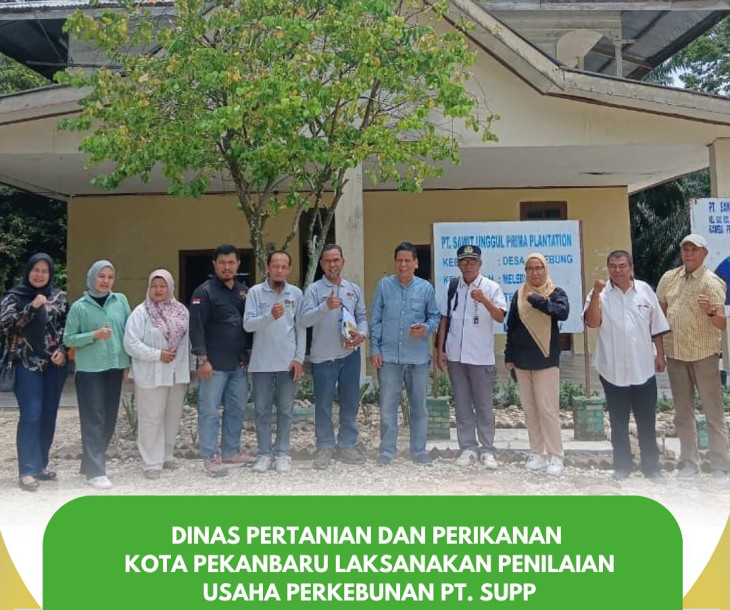 Penilaian Usaha Perkebunan PT. SUPP