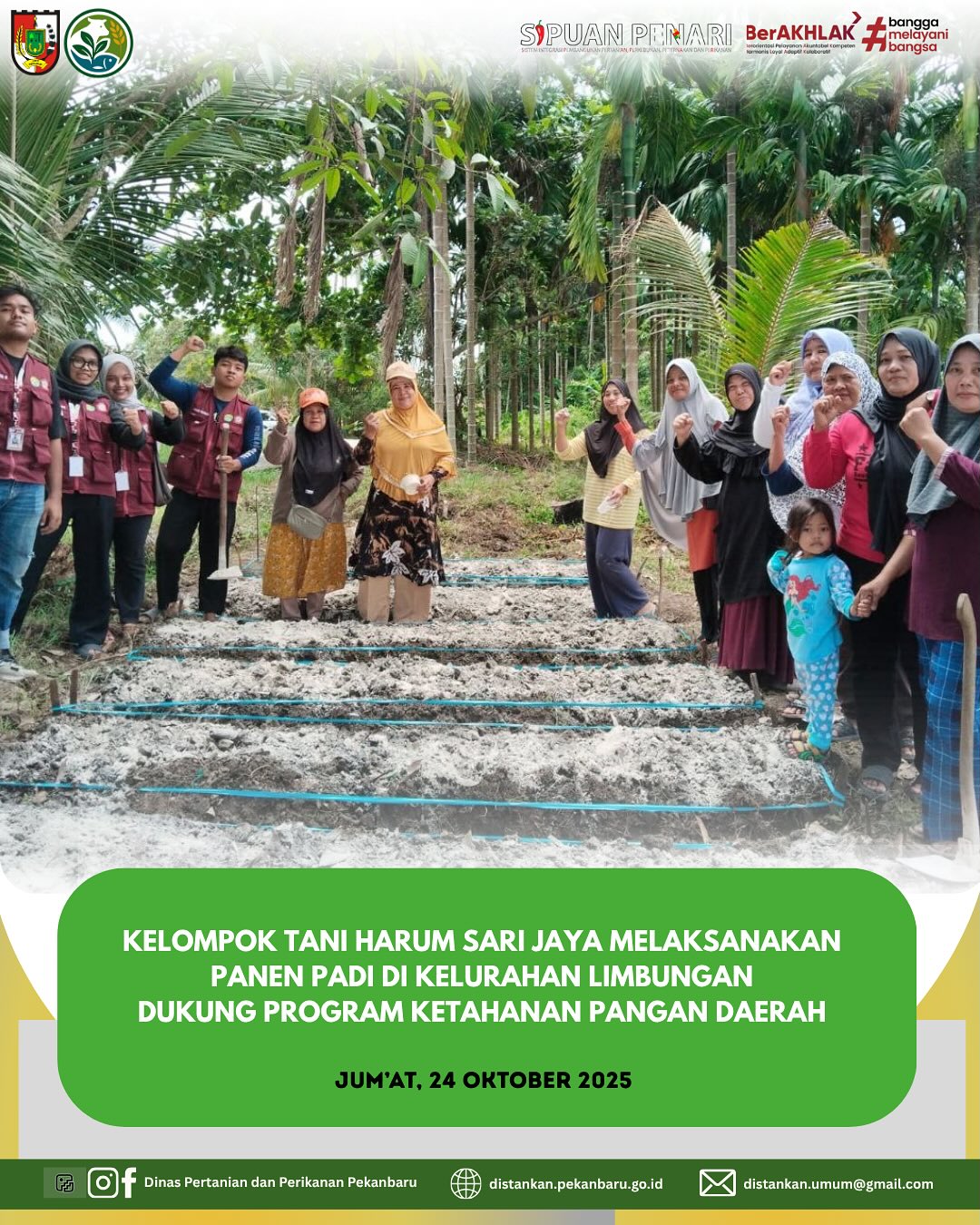 Panen Padi & Persiapan Budidaya Kangkung di Limbungan!