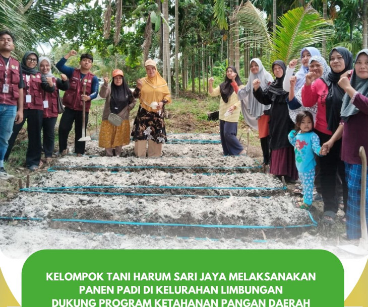 Panen Padi & Persiapan Budidaya Kangkung di Limbungan!