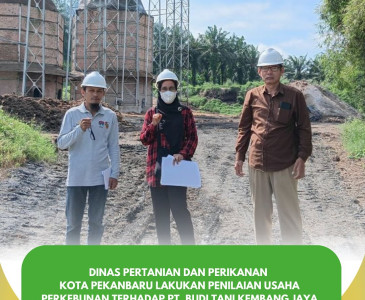 Panen Padi & Persiapan Budidaya Kangkung di Limbungan!