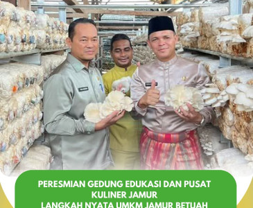 Panen Padi & Persiapan Budidaya Kangkung di Limbungan!