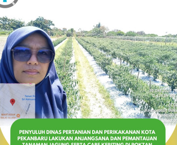 Penerimaan Bantuan APBN Tahun Anggaran 2025: Benih Padi Gogo dan Herbisida untuk Musim Tanam Tahap II