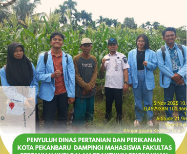 Panen Bersama Mahasiswa UNRI di Poktan Amara Jaya