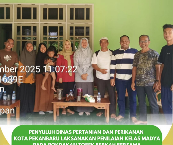 Penilaian Kelas Madya Pokdakan Tobek Berkah Bersama