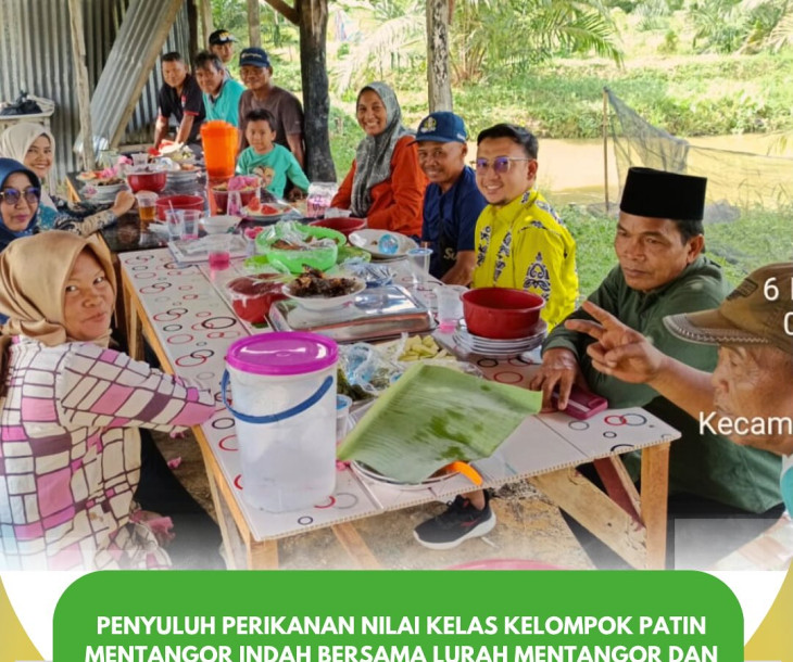 Penilaian Kelas Kelompok Patin Mentangor Indah