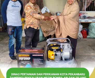 Penilaian Kelas Kelompok Patin Mentangor Indah