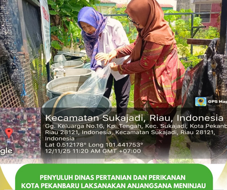 Penyuluh Perikanan Laksanakan Anjangsana Kegiatan Budikdamber di Kecamatan Sukajadi