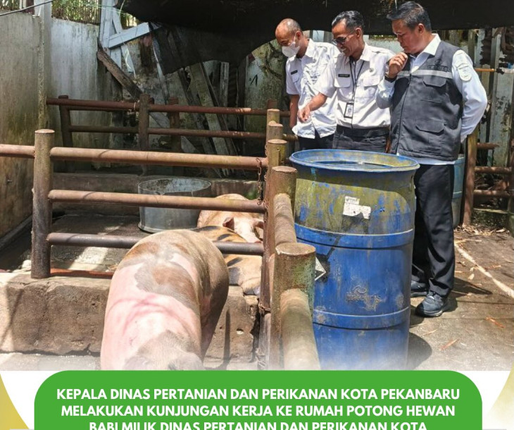 Kunjungan Kerja ke Rumah Potong Hewan Babi