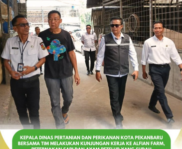 Kunjungan Kerja ke Rumah Potong Hewan Babi