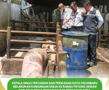 Sosialisasi Kegiatan Konsolidasi Tanah di Kelurahan Kulim dan Kelurahan Mentangor (Trase 1B)