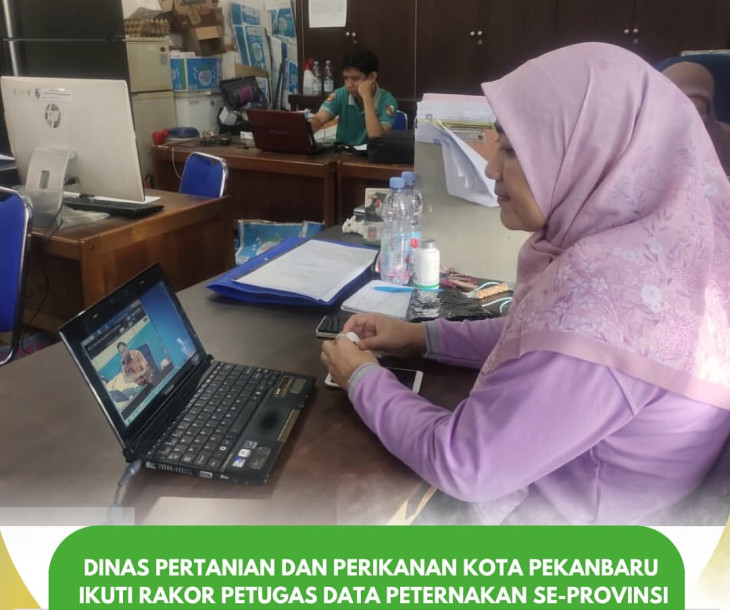Dinas Pertanian dan Perikanan Kota Pekanbaru Ikuti Rakor Petugas Data Peternakan se-Provinsi Riau 2025 Secara Virtual