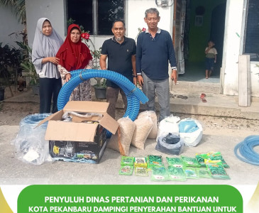 Penyuluh Dinas Pertanian dan Perikanan Kota Pekanbaru Melaksanakan Koordinasi dengan Camat Senapelan