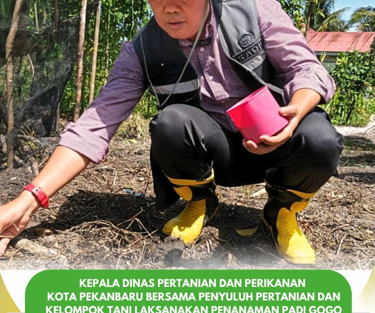 Tanam Padi Serentak di Palas!