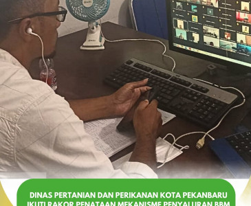 Panen Padi di Kelompok Tani Harum Sari Jaya, Kelurahan Limbungan – Rumbai Timur