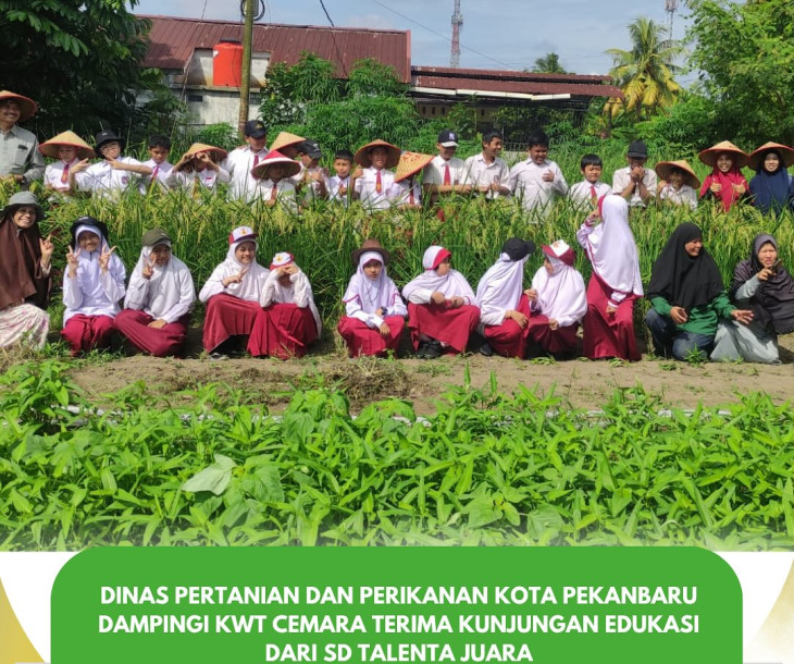 Belajar Seru di KWT Cemara!