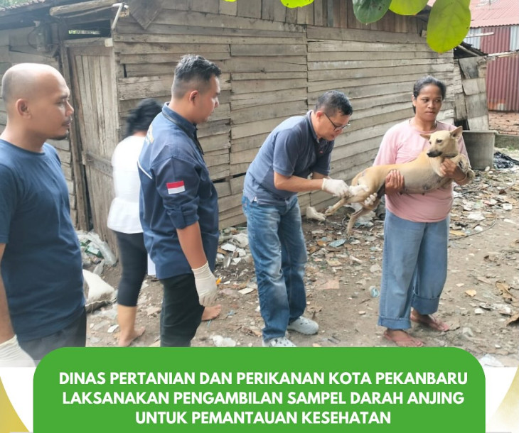 Pelaksanaan Pengambilan Sampel Darah Anjing