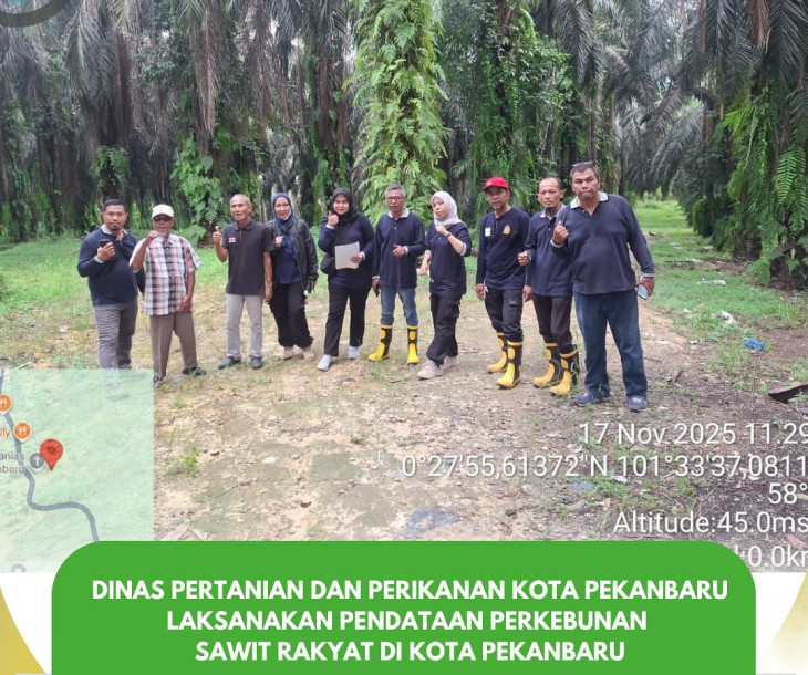 Pendataan Perkebunan Sawit Rakyat di Kota Pekanbaru