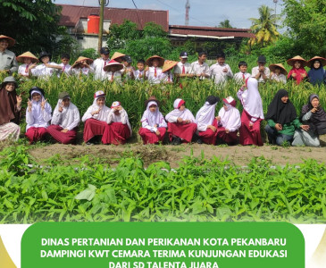 Pendampingan Penyaluran Bantuan Saprodi untuk Kelompok Tani Mandiri Tuahmadani