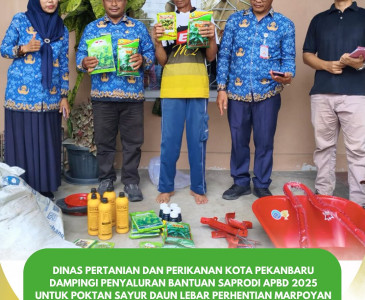 Pendampingan Penyaluran Bantuan Saprodi untuk Kelompok Tani Mandiri Tuahmadani