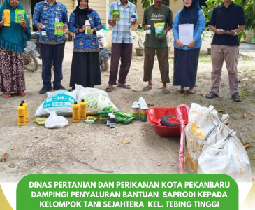 Pendampingan Penyaluran Bantuan Saprodi untuk Kelompok Sepakat Bersama
