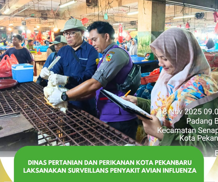 PELAKSANAAN SURVEILLANS PENYAKIT AVIAN INFLUENZA DI PEKANBARU