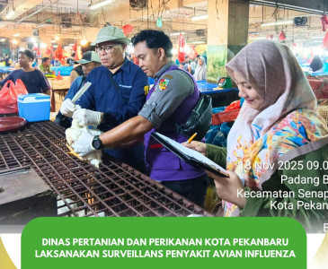 PENDAMPINGAN PENYALURAN BANTUAN SAPRODI UNTUK KWT ASTA MAJU BERSAMA