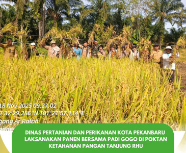 PENDAMPINGAN PENYALURAN BANTUAN SAPRODI APBD 2025 UNTUK KWT RAWA SUBUR