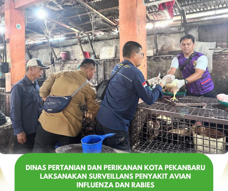 Pelaksanaan Surveillans Penyakit Avian Influenza dan Rabies di Pekanbaru