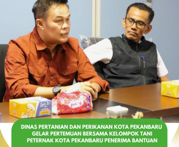 MONITORING TANAMAN JAGUNG PIPIL 1 HA — POKTAN AMARA JAYA