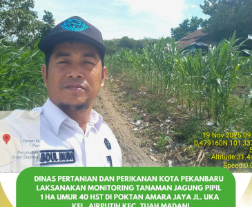 Dinas Pertanian dan Perikanan Kota Pekanbaru Serahkan Sertifikat Halal kepada Poklahsar Pempek Wak Amin