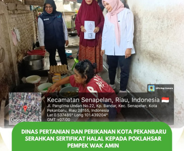MONITORING TANAMAN JAGUNG PIPIL 1 HA — POKTAN AMARA JAYA