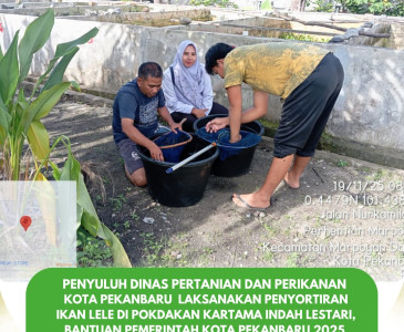 Monitoring Penyuluh Dinas Pertanian dan Perikanan Kota Pekanbaru di Kelompok Tani Beringin Jaya