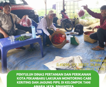 Pendampingan Inspeksi Sertifikasi Kelayakan Pengolahan Rendang Ikan Pak Ombak