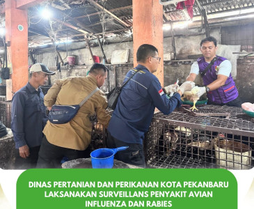 Pendampingan Inspeksi Sertifikasi Kelayakan Pengolahan Rendang Ikan Pak Ombak
