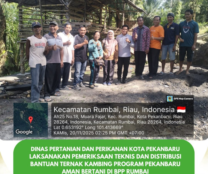Pemeriksaan Teknis & Pendistribusian Bantuan Ternak Kambing Pekanbaru AMAN Bertani