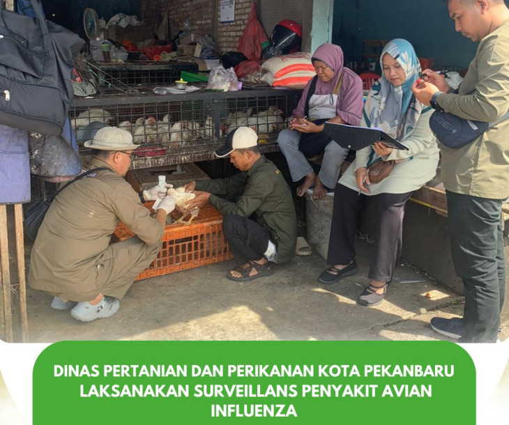 Surveillans Penyakit Avian Influenza di Kota Pekanbaru