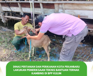 Perekapan Kinerja Penyuluh Perikanan Kota Pekanbaru 2025