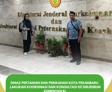 Dinas Pertanian dan Perikanan Kota Pekanbaru Dampingi Surveyor Dirjen Hilirisasi Bersama DPKH Riau & Direktur SPP