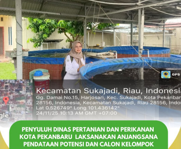Dinas Pertanian dan Perikanan Kota Pekanbaru Dampingi Surveyor Dirjen Hilirisasi Bersama DPKH Riau & Direktur SPP