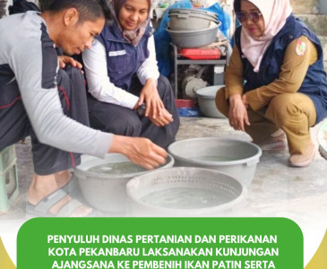 Penyuluh Dinas Pertanian dan Perikanan Kota Pekanbaru Laksanakan Kunjungan & Penyuluhan di POKDAKAN Mina Sumber Berkah