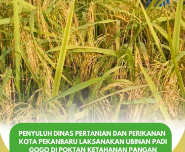 Pelatihan LiveCorp–FAWO Animal Biosecurity, Welfare, Disease Management & Treatment