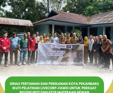 Monev & Panen Terong–Cabai di KWT Tanjung Indah Jaya