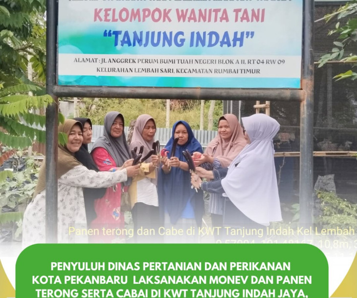 Monev & Panen Terong–Cabai di KWT Tanjung Indah Jaya