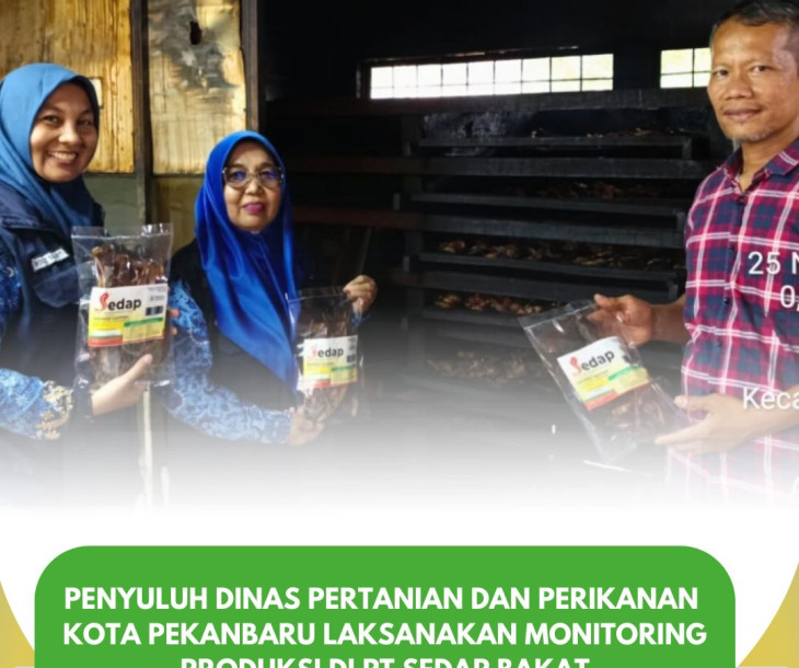 Monitoring Produksi PT Sedap Bakat oleh Penyuluh Dinas Pertanian dan Perikanan Kota Pekanbaru