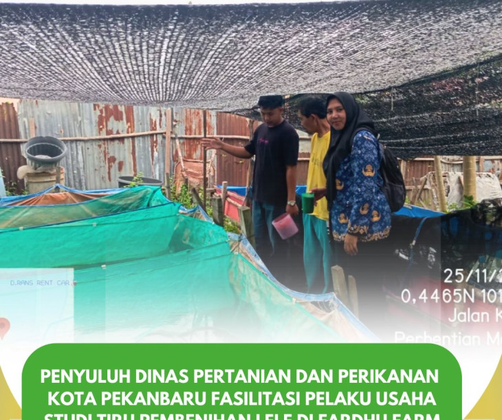 Fasilitasi Pelaku Usaha Studi Tiru Pembenihan Lele di Fardhu Farm
