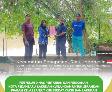 Monev & Panen Terong–Cabai di KWT Tanjung Indah Jaya