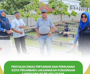 Monitoring Produksi PT Sedap Bakat oleh Penyuluh Dinas Pertanian dan Perikanan Kota Pekanbaru