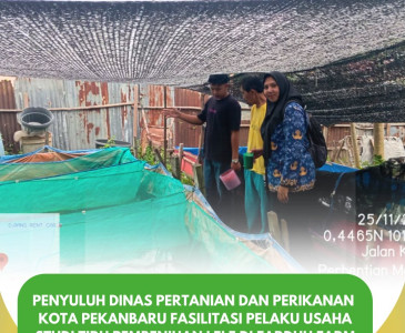 Monitoring Produksi PT Sedap Bakat oleh Penyuluh Dinas Pertanian dan Perikanan Kota Pekanbaru