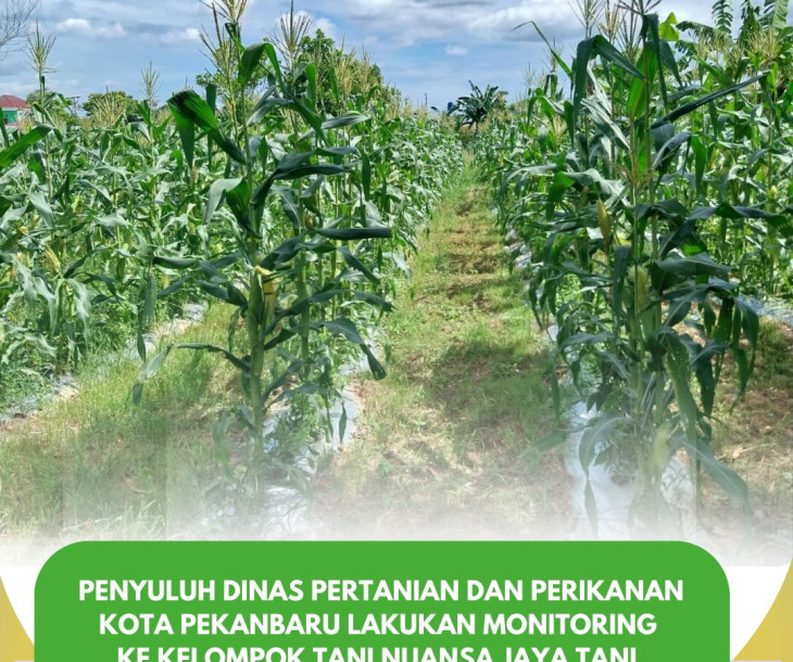 Penyuluh Pertanian Lakukan Monitoring ke Kelompok Tani Nuansa Jaya Tani