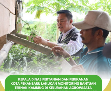 Kadistankan Melakukan Monitoring Penerima Pupuk Bersubsidi